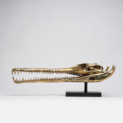 Sooka Extra Large polished bronze Gharial Skull