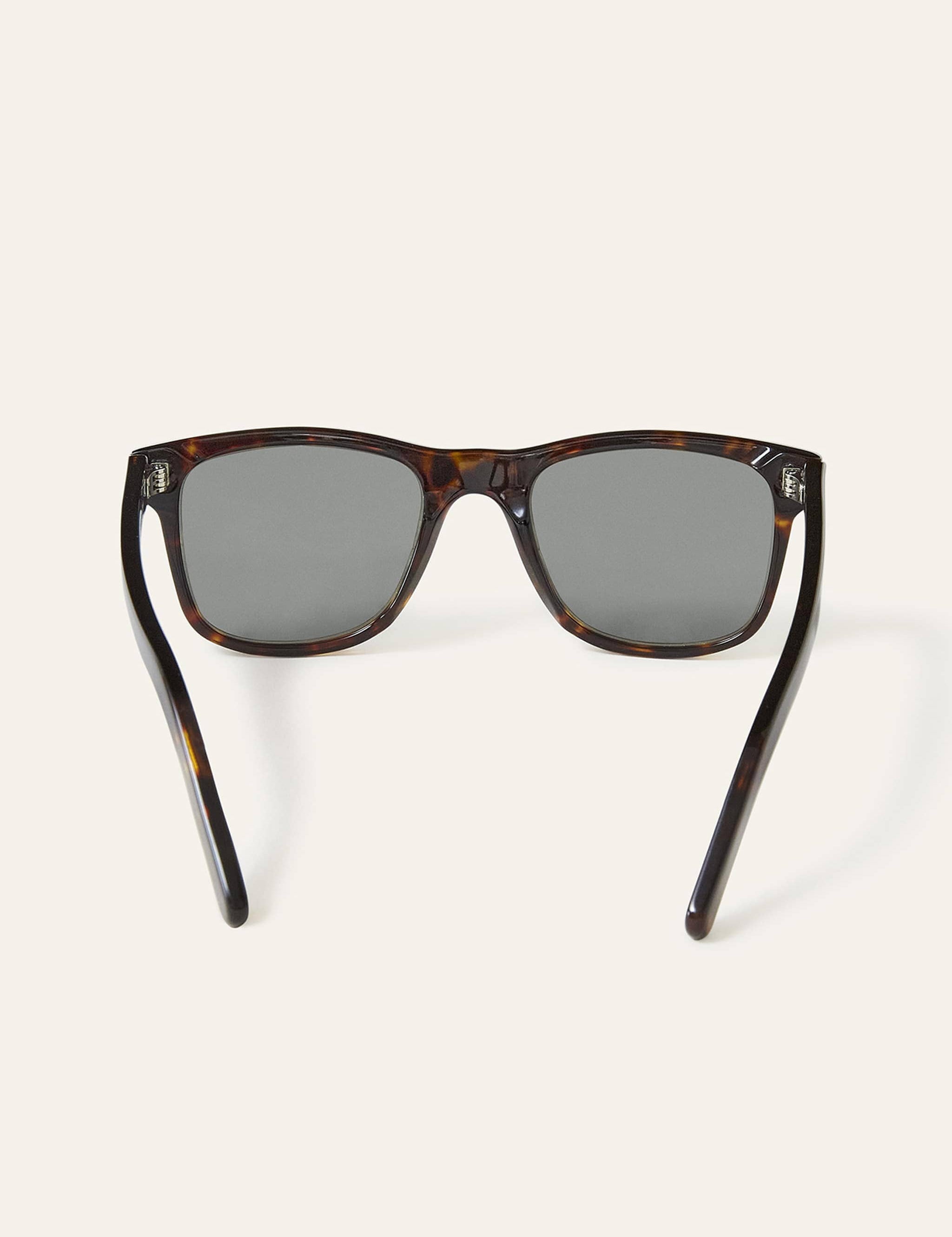 tortoiseshell-journey-sunglasses-957715.jpg