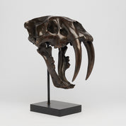 Bronze Rustic Sabertooth Tiger