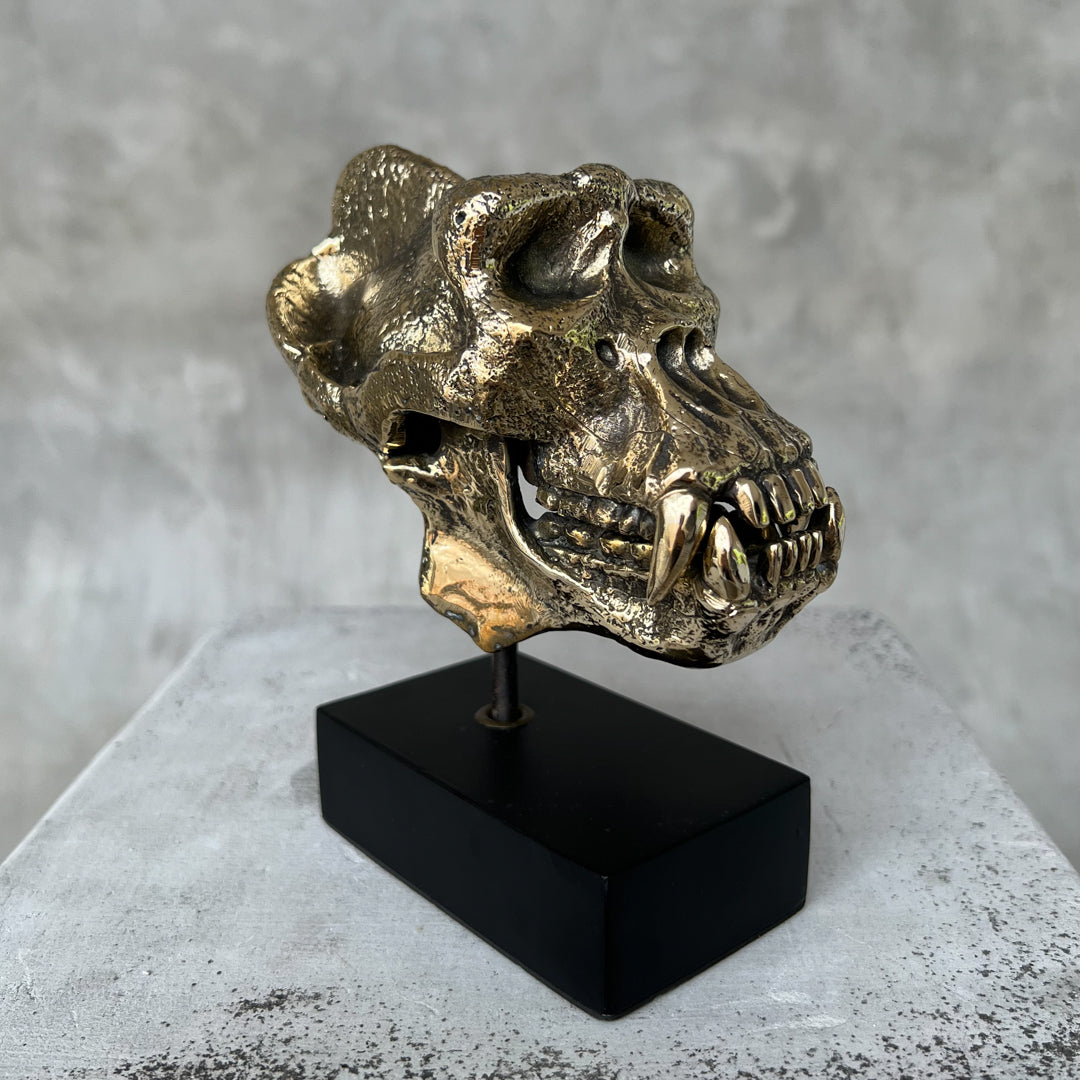 Small Polished Bronze Gorilla Skull