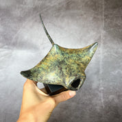 Manta Ray in Patinated Bronze, Small