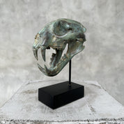 Patinated Snow Leopard
