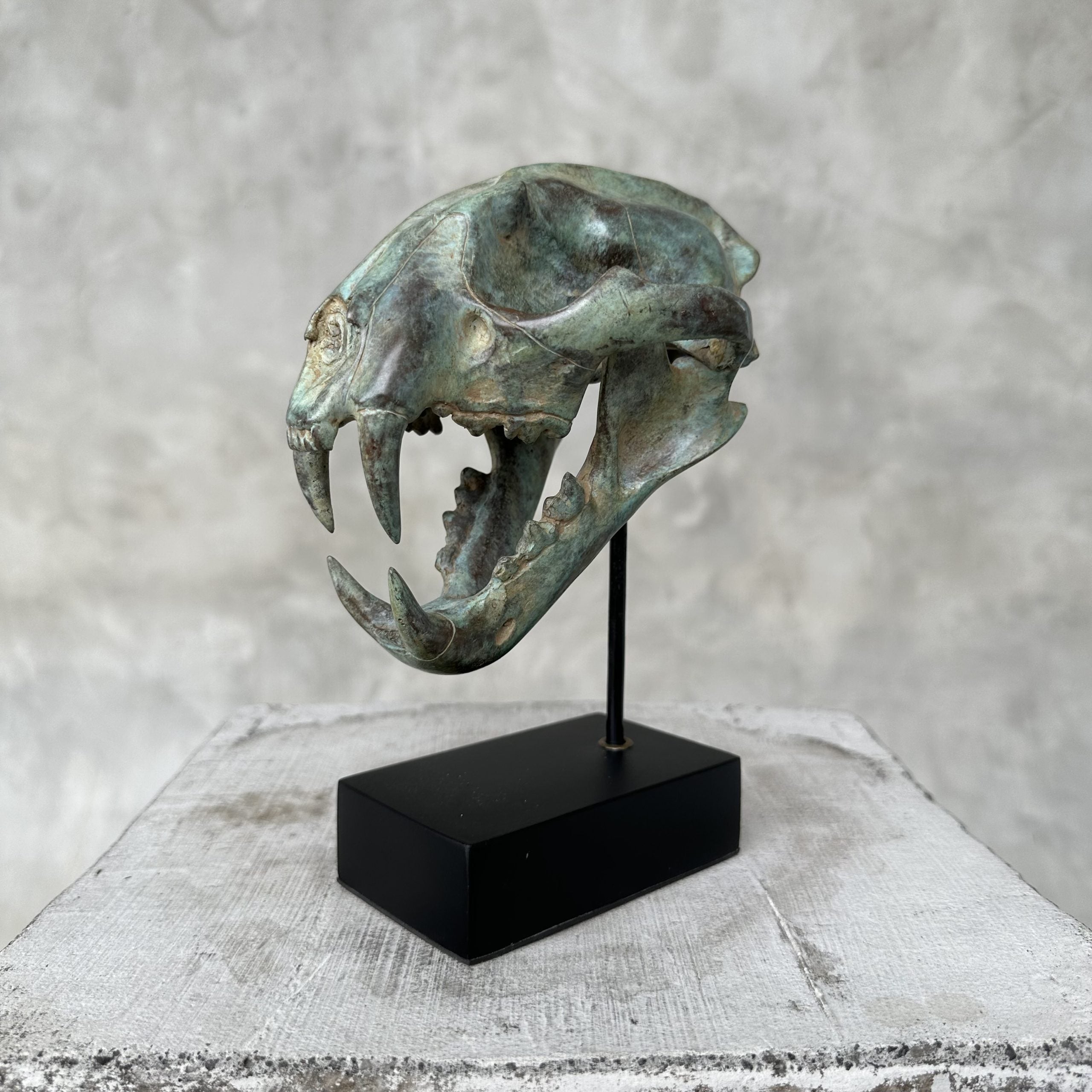 Patinated Snow Leopard