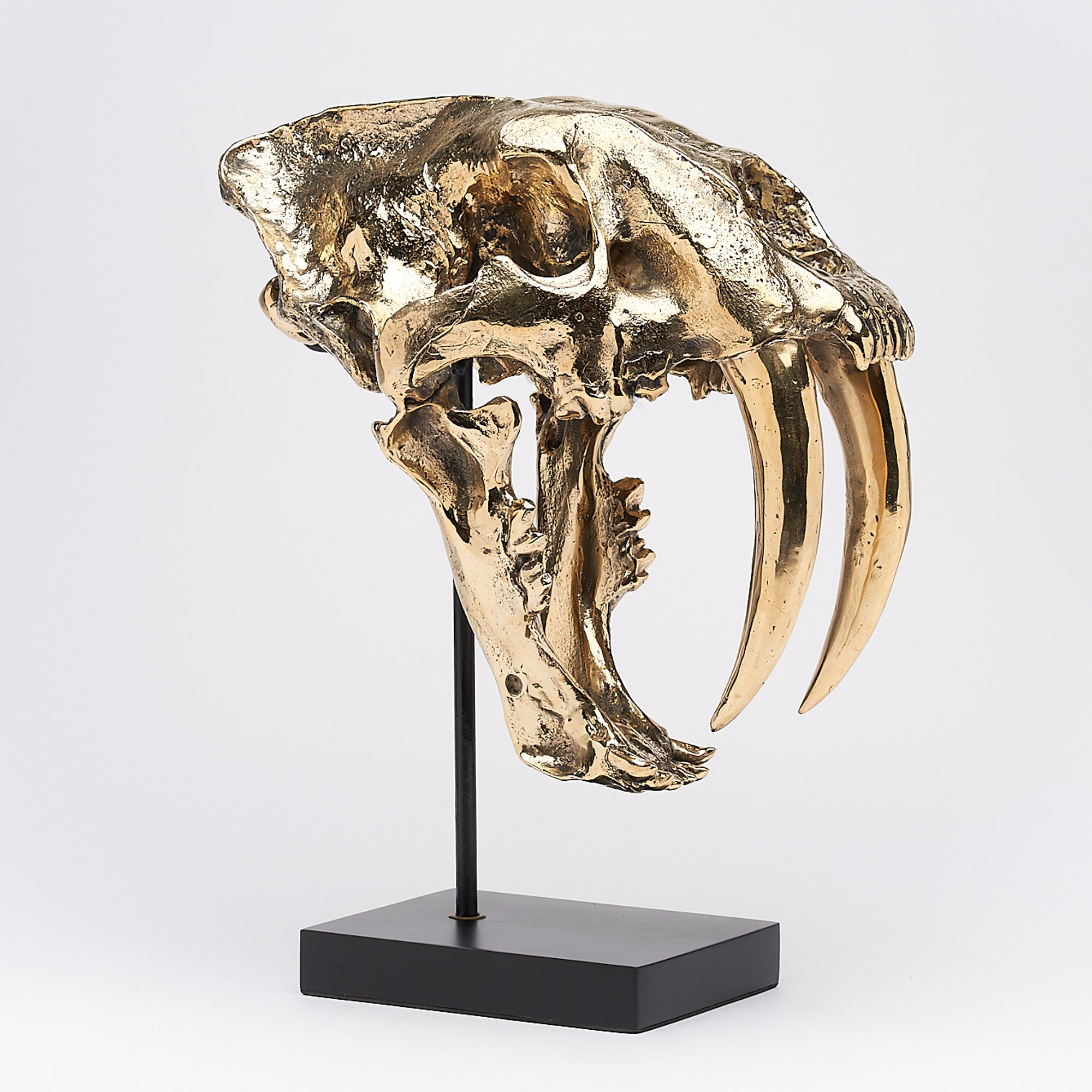 Polished Bronze Rustic Sabertooth Tiger