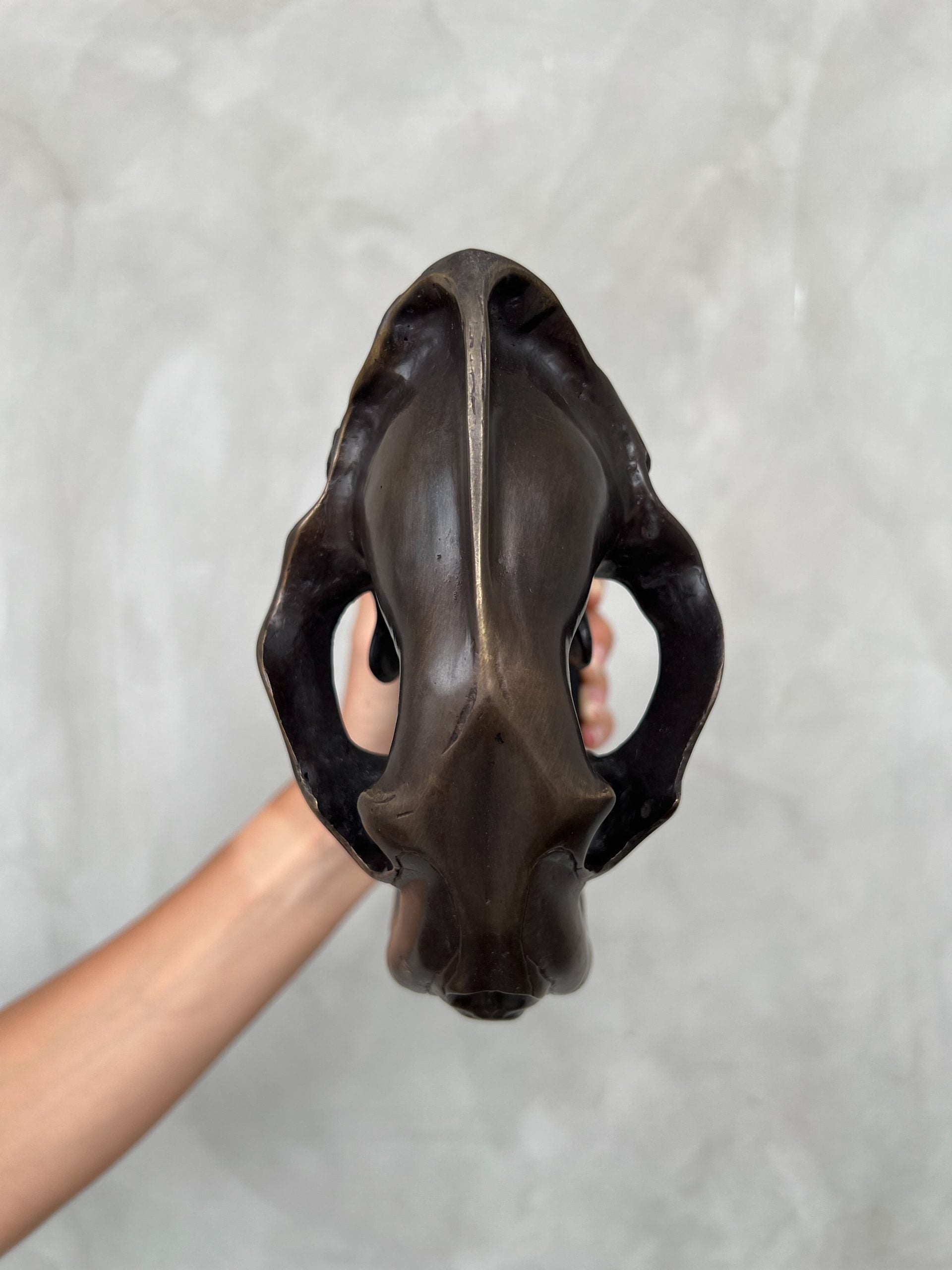 Small Bronze Sabertooth Tiger