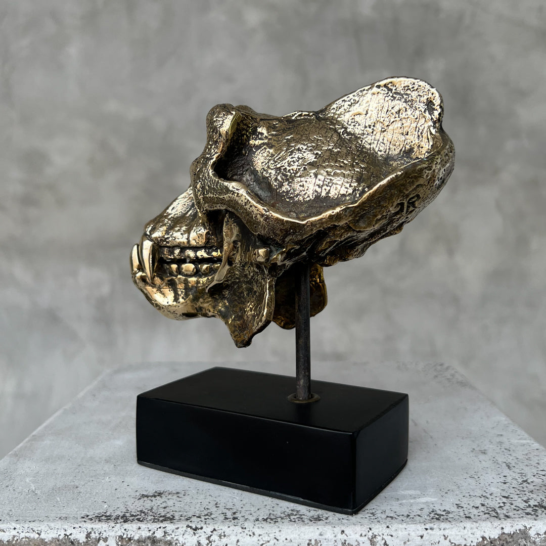 Small Polished Bronze Gorilla Skull
