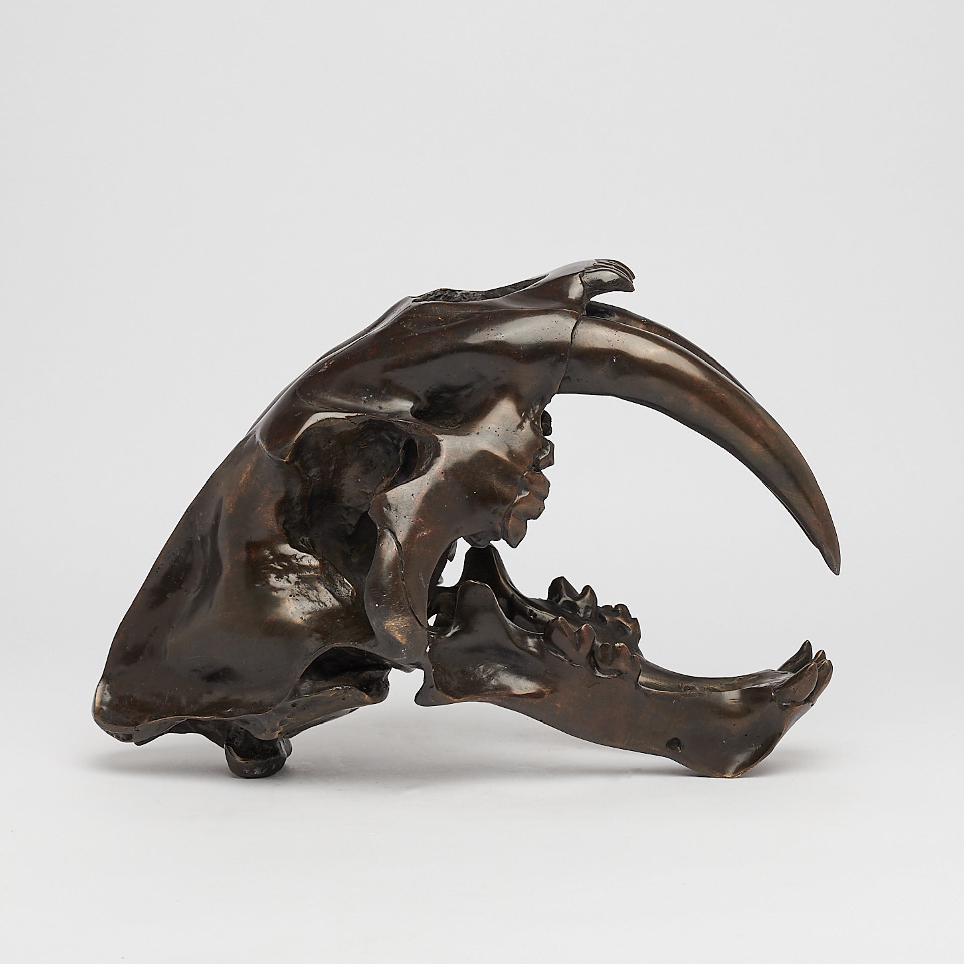 Bronze Rustic Sabertooth Tiger