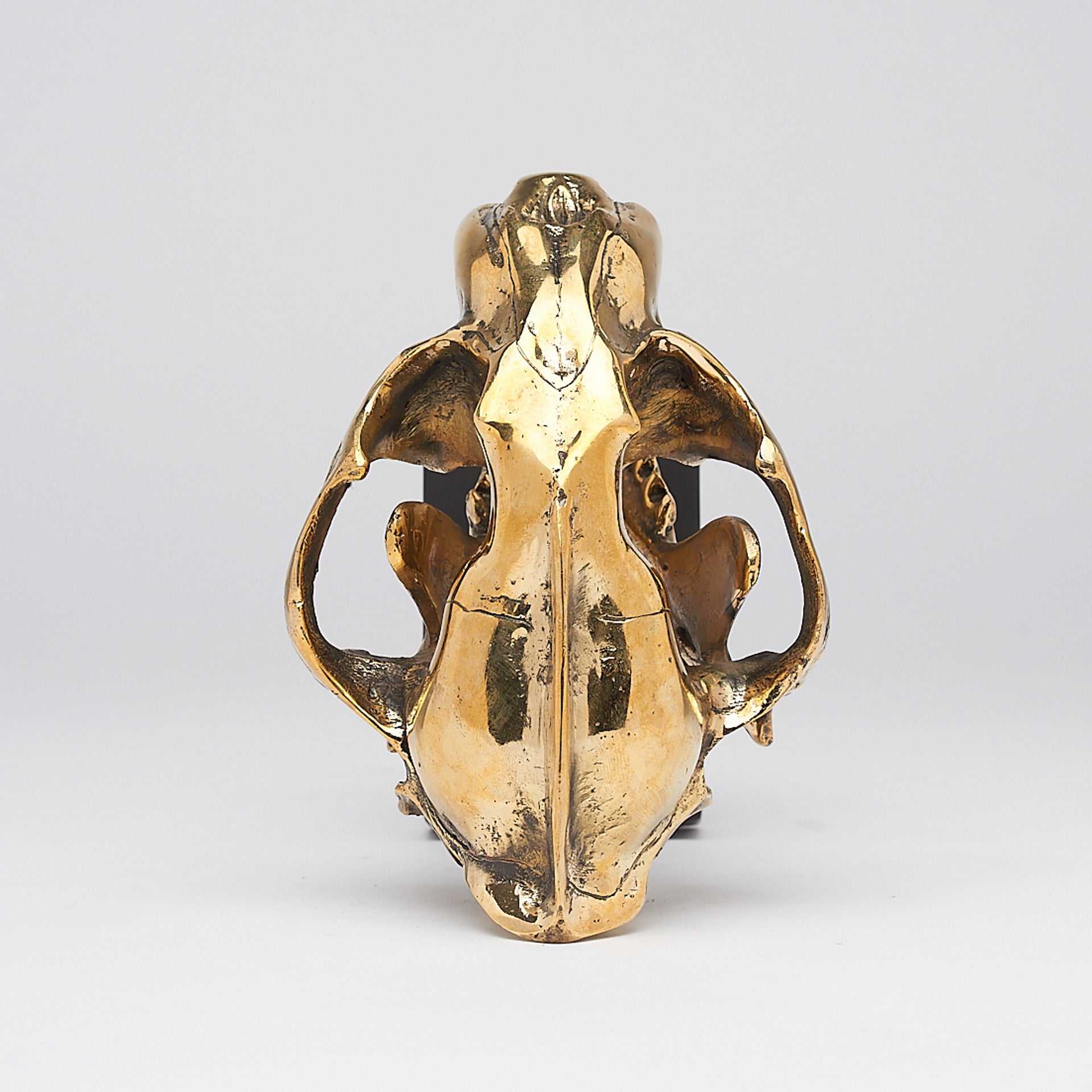 Polished Bronze Snow Leopard