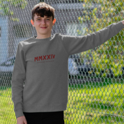 Boys Grey Sweatshirt