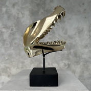 Polished Bronze Mako Shark Jaw