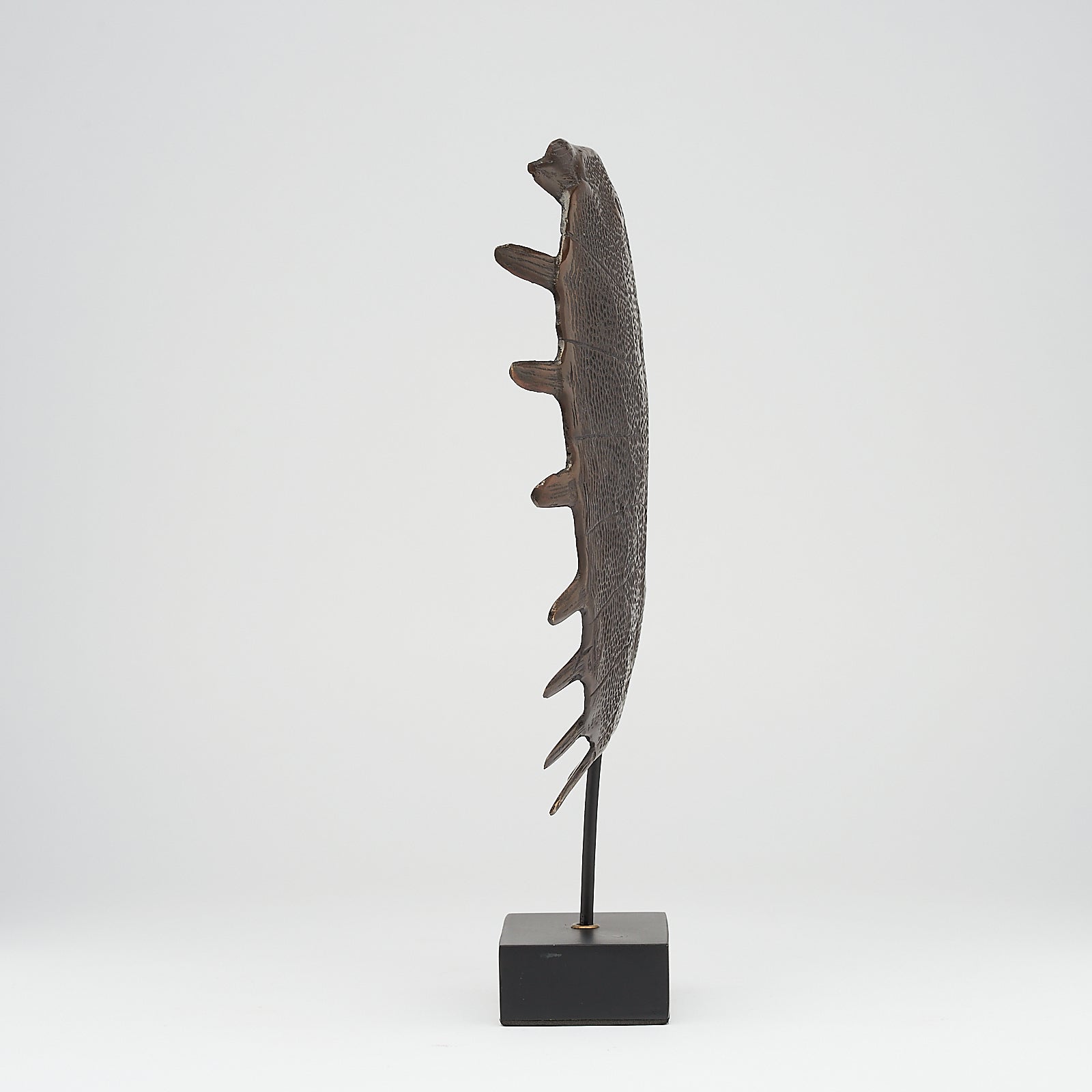 Medium Bronze Turtle Shell