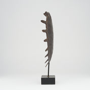 Medium Bronze Turtle Shell