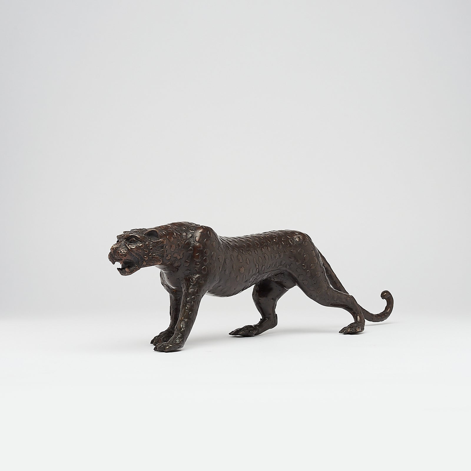 Bronze Javan Leopard