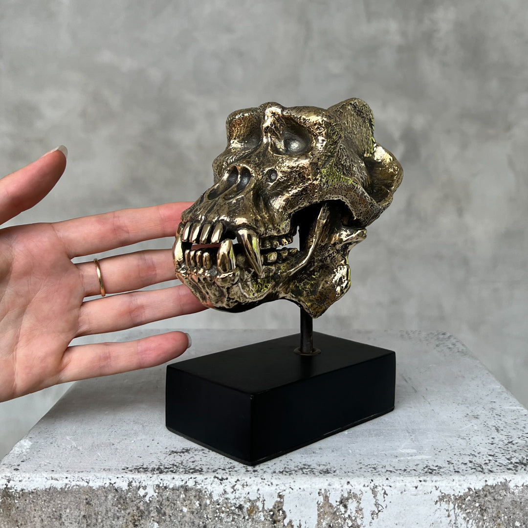 Small Polished Bronze Gorilla Skull