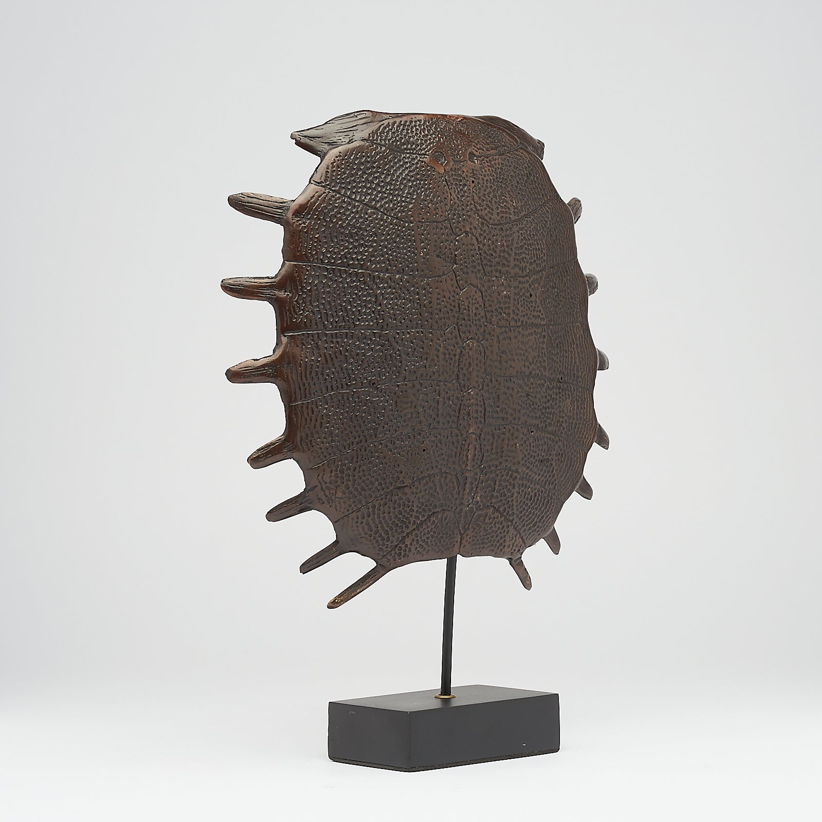 Medium Bronze Turtle Shell