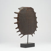 Medium Bronze Turtle Shell