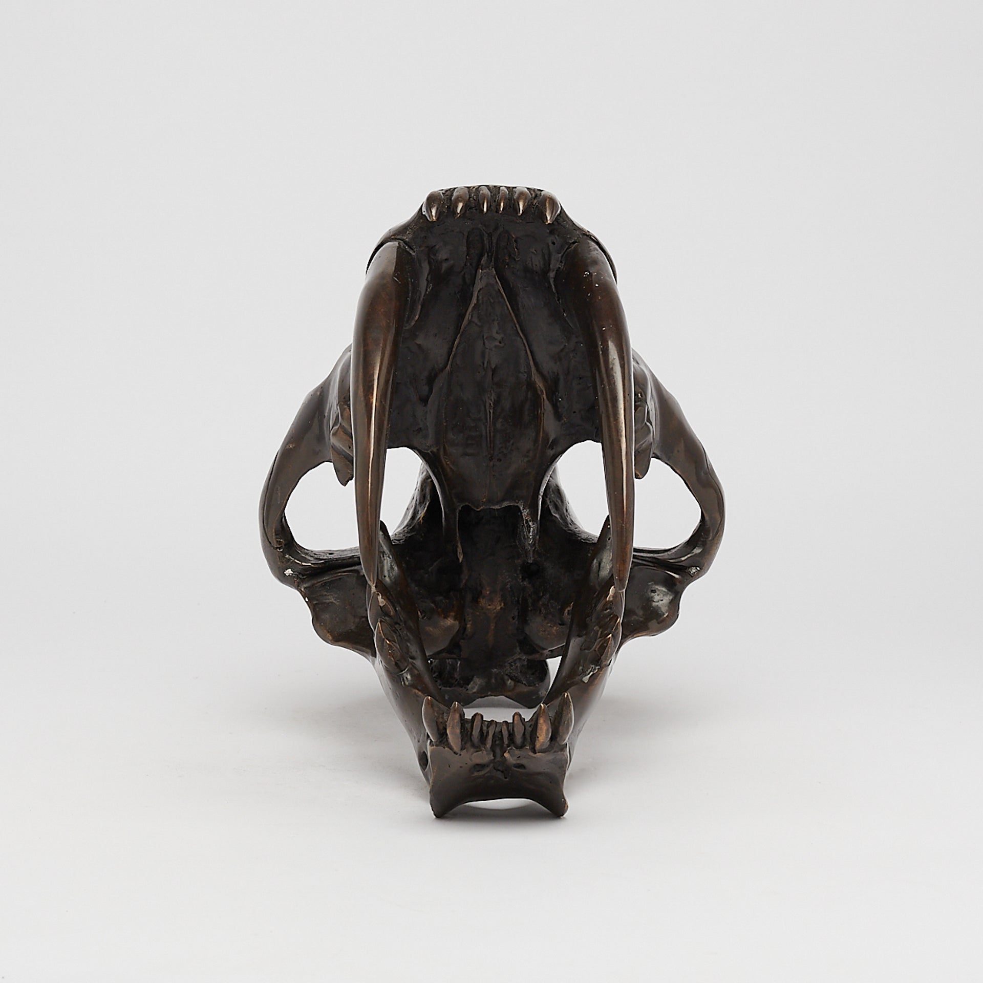 Bronze Sabertooth Tiger