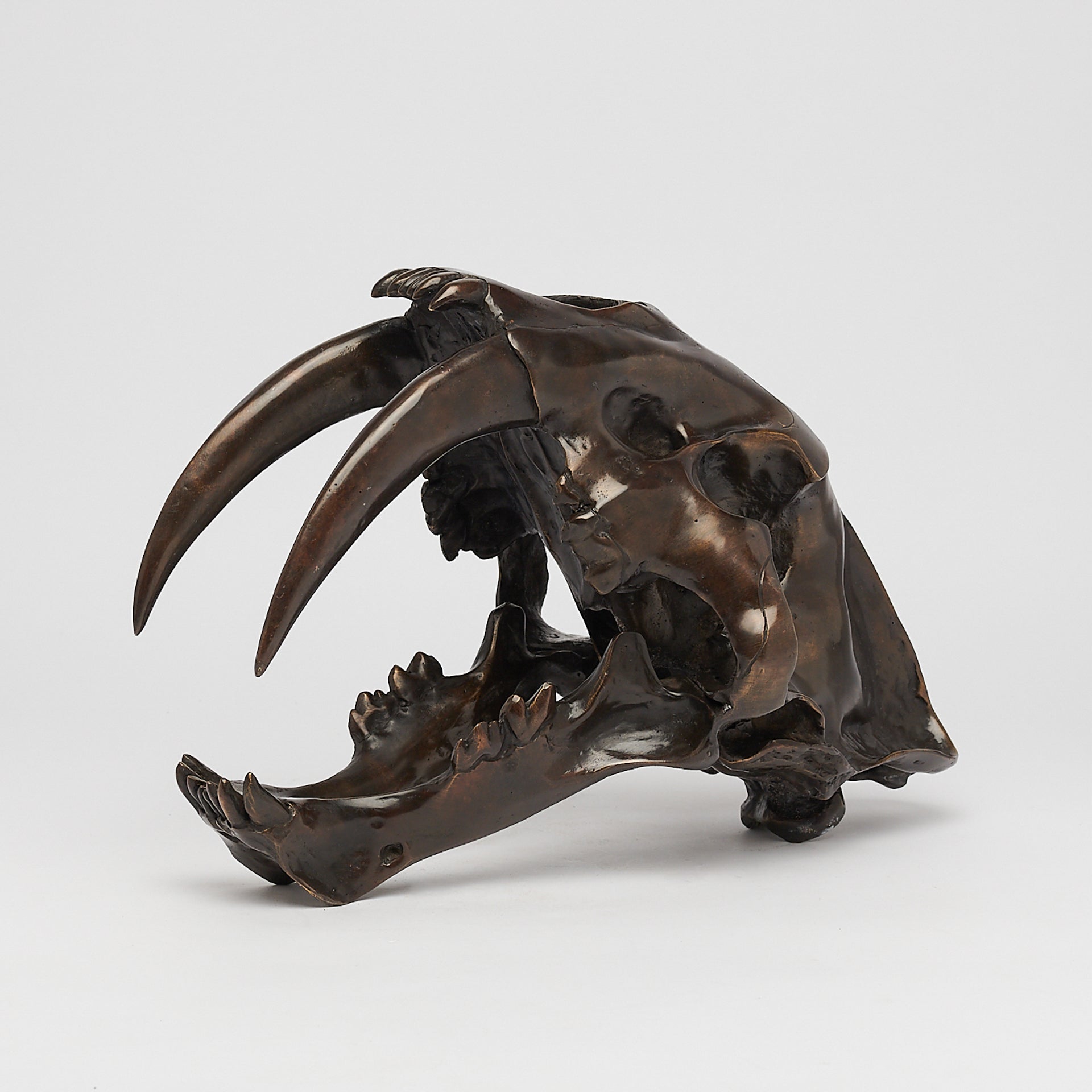 Bronze Sabertooth Tiger