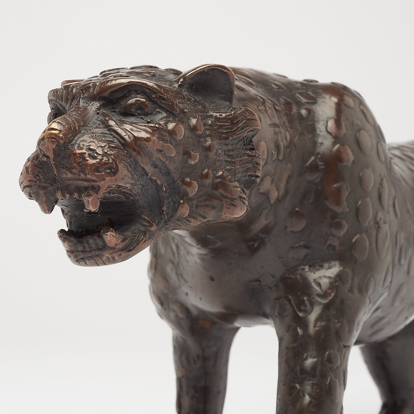 Bronze Javan Leopard