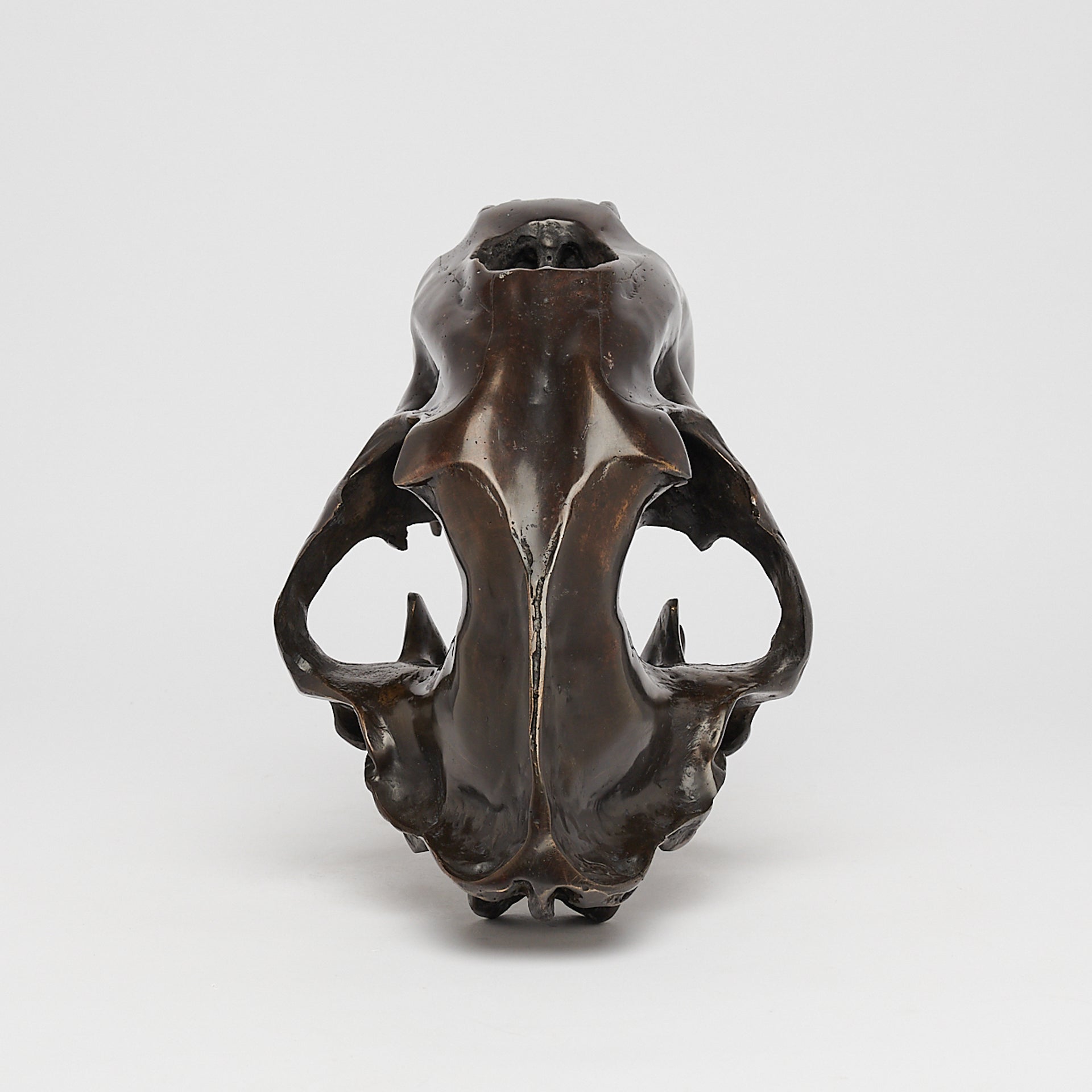 Bronze Sabertooth Tiger