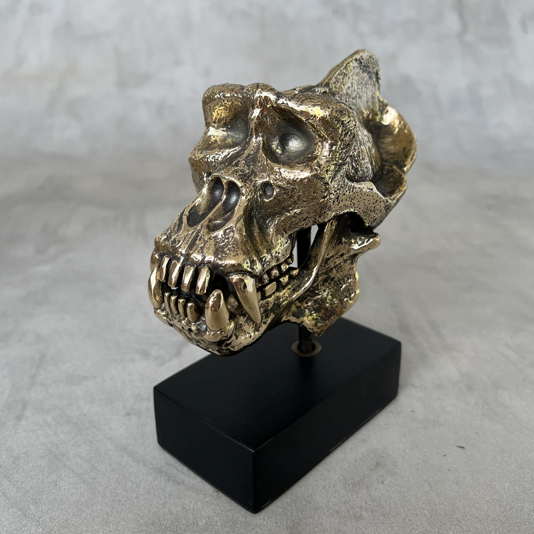 Small Polished Bronze Gorilla Skull