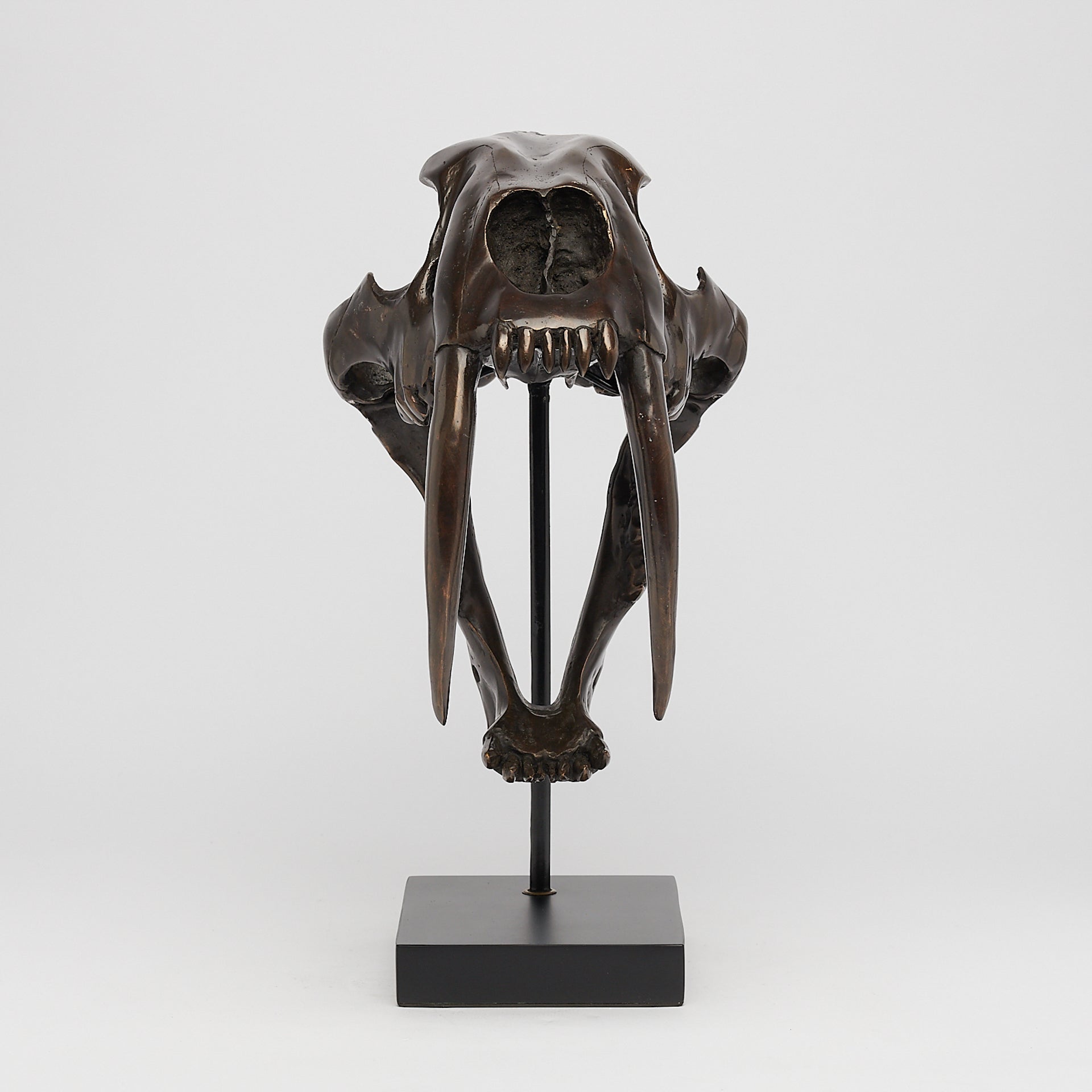 Bronze Rustic Sabertooth Tiger