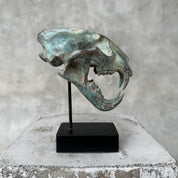 Patinated Snow Leopard