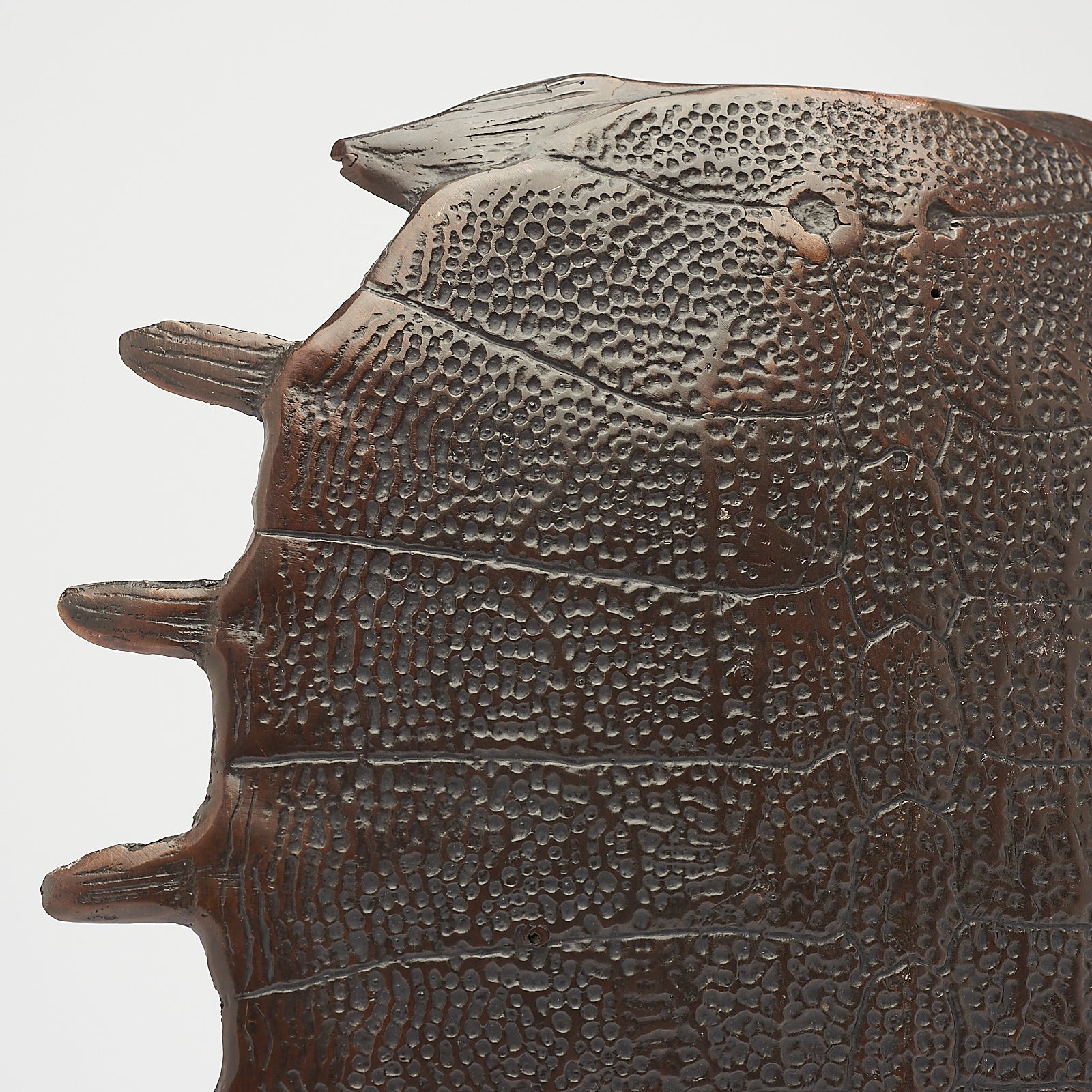 Medium Bronze Turtle Shell