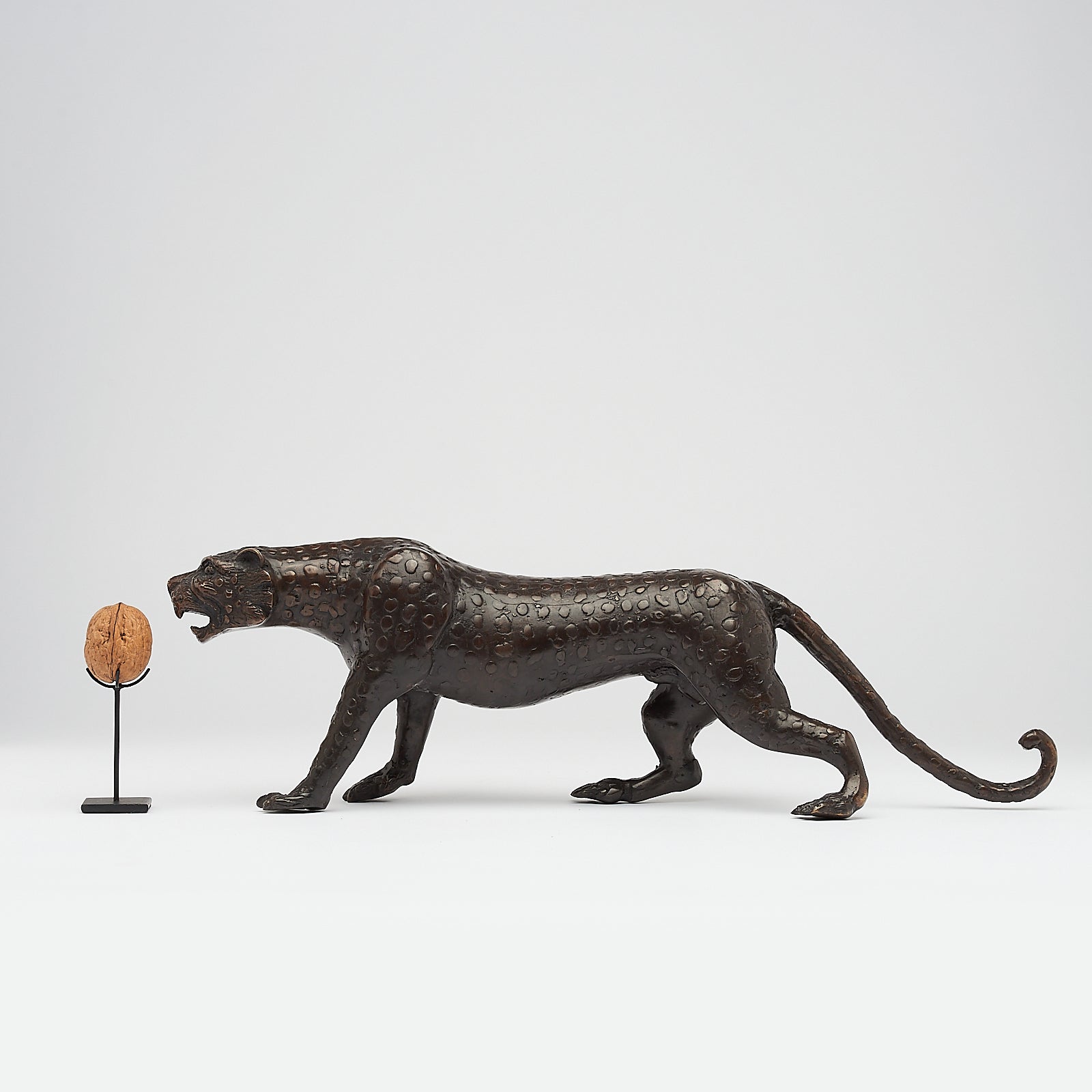 Bronze Javan Leopard