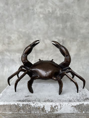 Small Bronze Crab
