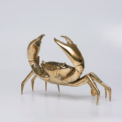Sooka Crab in polished bronze, Medium
