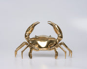 Sooka Crab in polished bronze, Medium