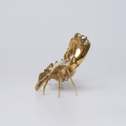 Crab in polished bronze, Small