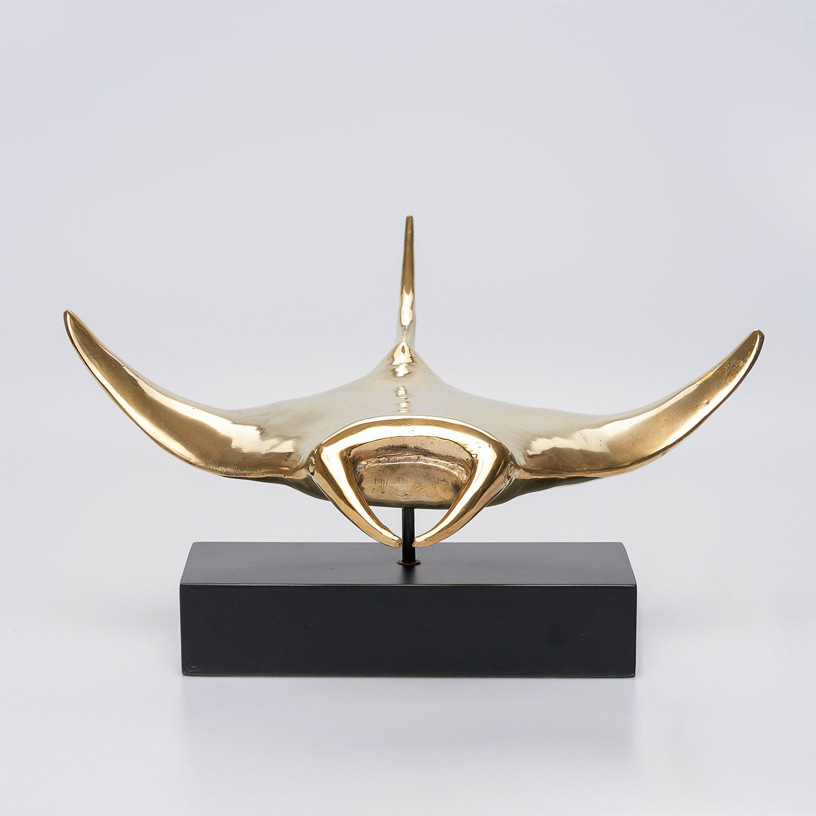 Manta Ray in Polished Bronze, Large