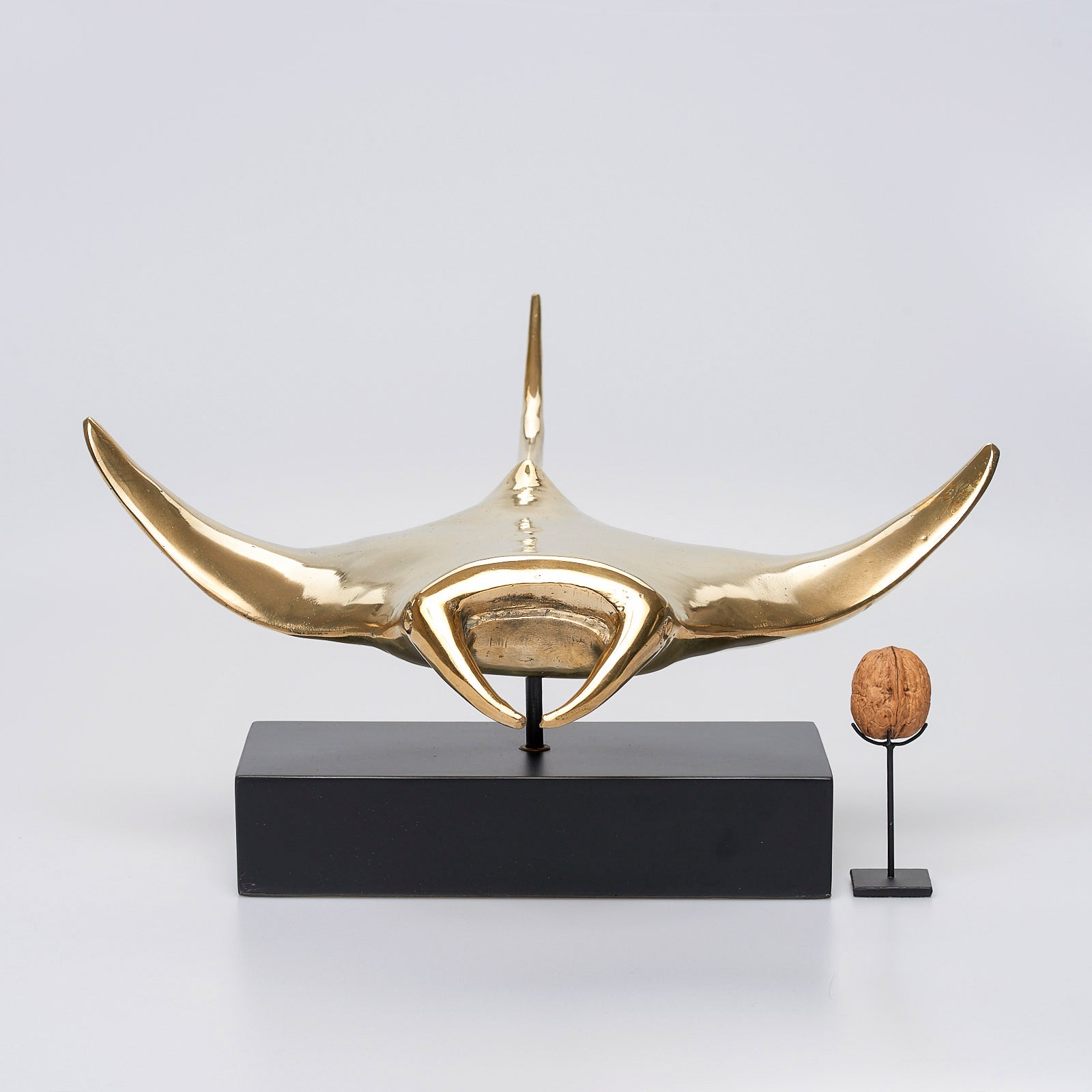 Manta Ray in Polished Bronze, Large