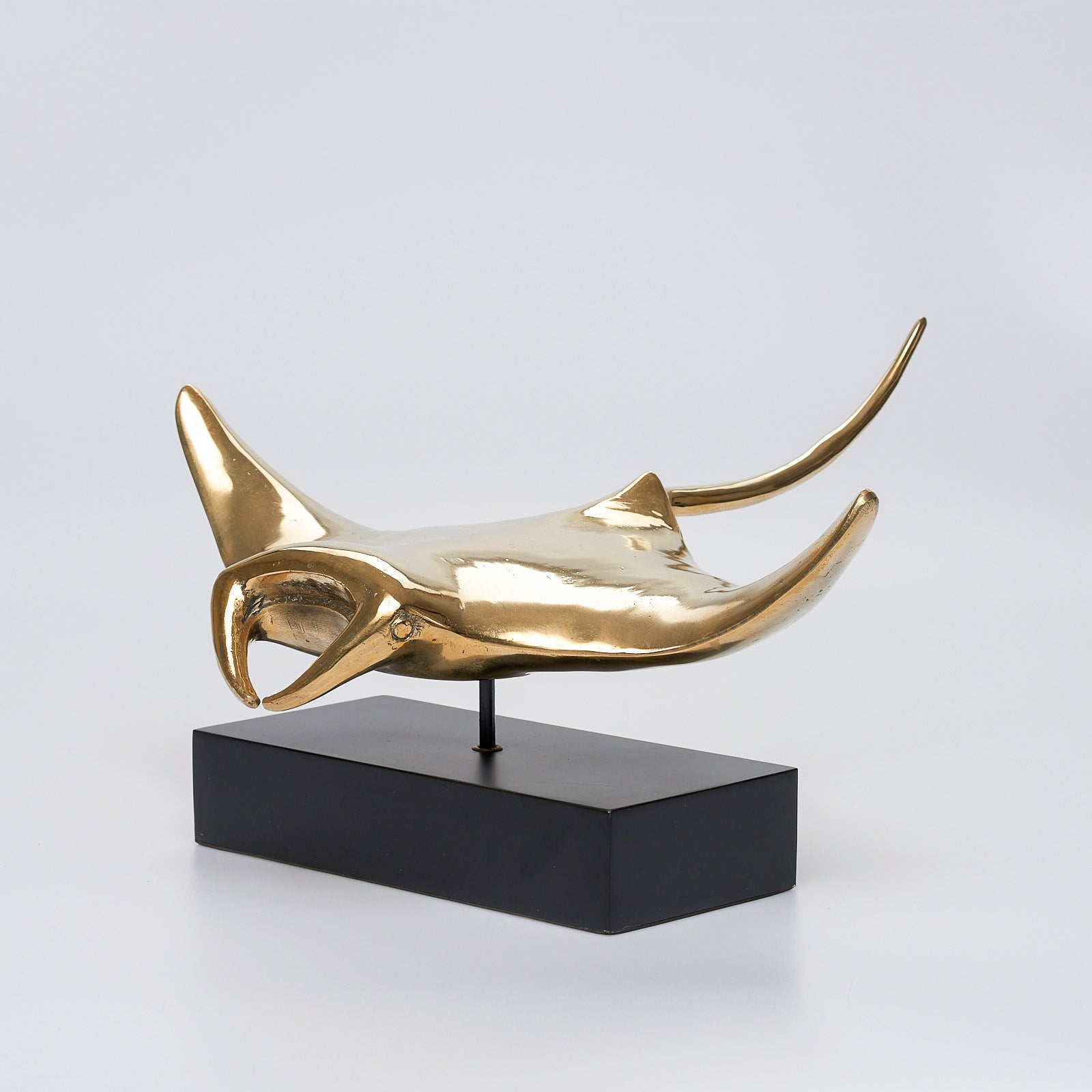 Manta Ray in Polished Bronze, Large