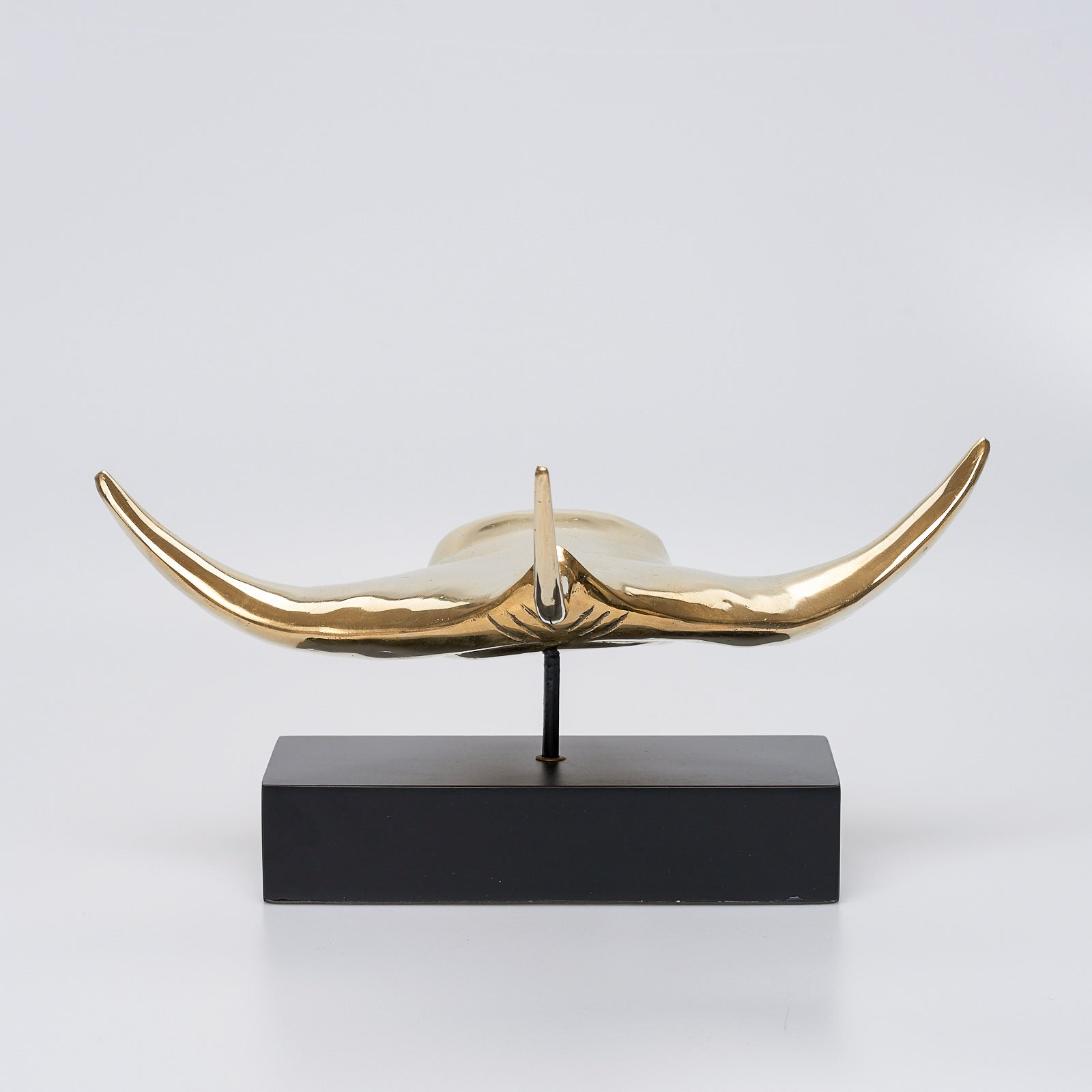 Manta Ray in Polished Bronze, Large