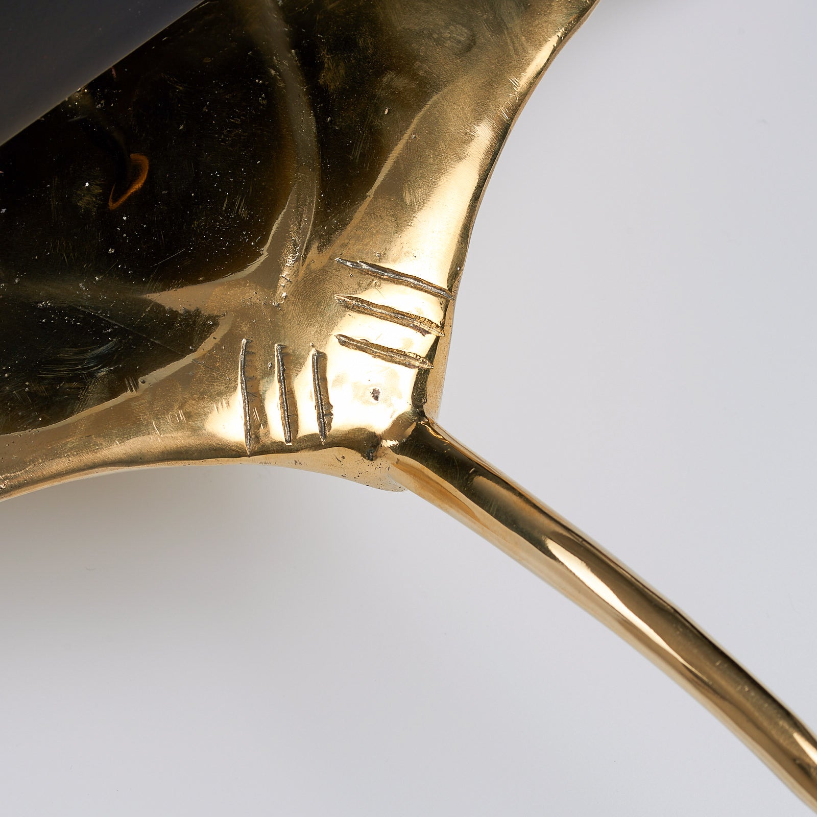 Manta Ray in Polished Bronze, Large
