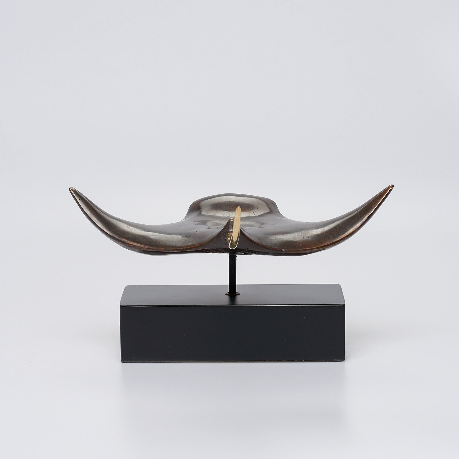 Manta Ray in Bronze, Medium