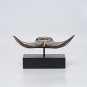 Manta Ray in Bronze, Medium