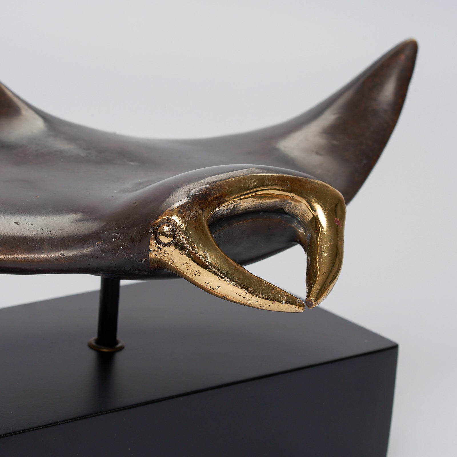Manta Ray in Bronze, Medium