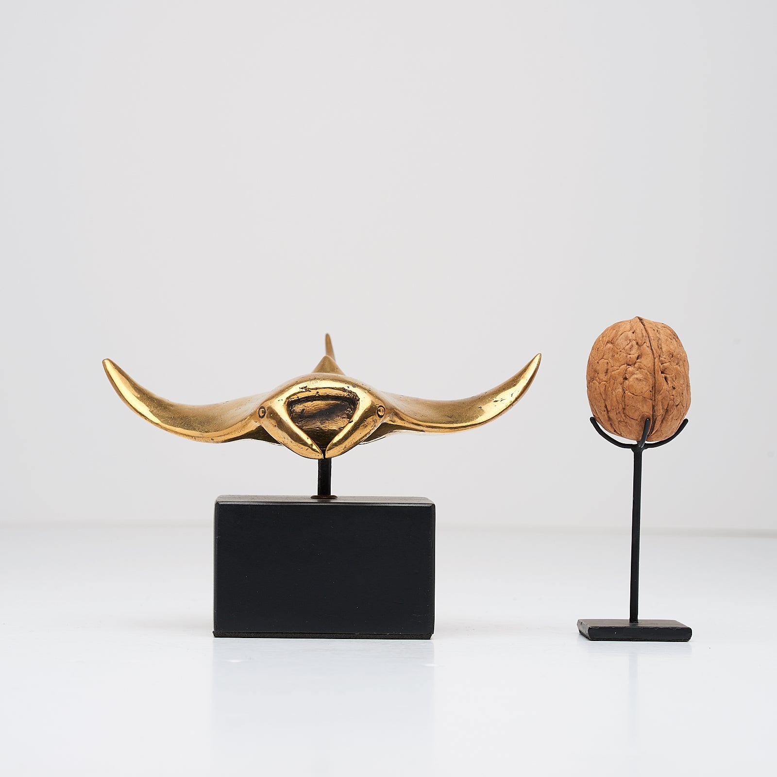 Manta Ray in Polished Bronze, Small