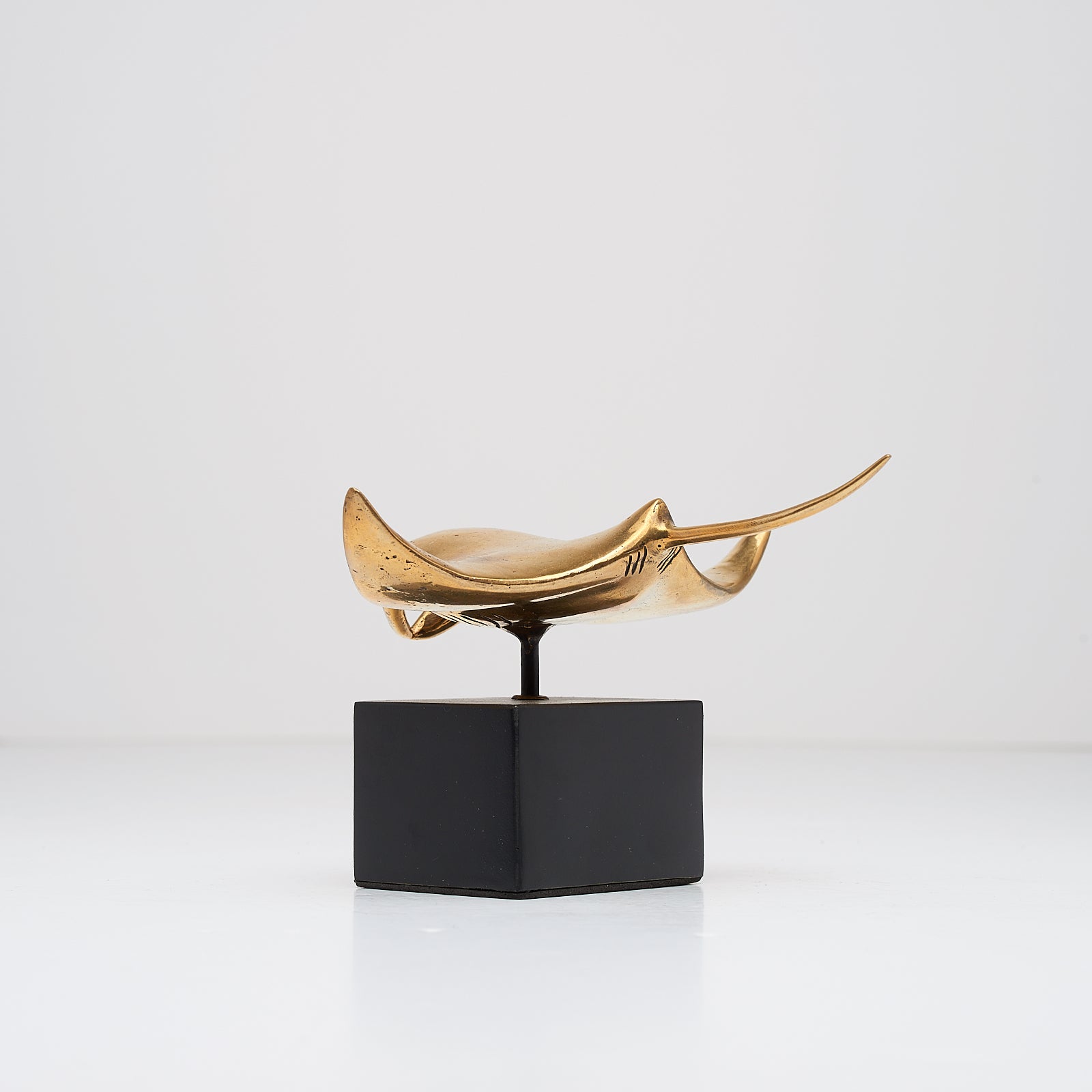 Manta Ray in Polished Bronze, Small