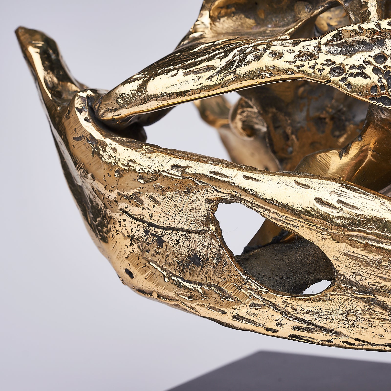 Medium Saltwater Crocodile Skull in Polished Bronze