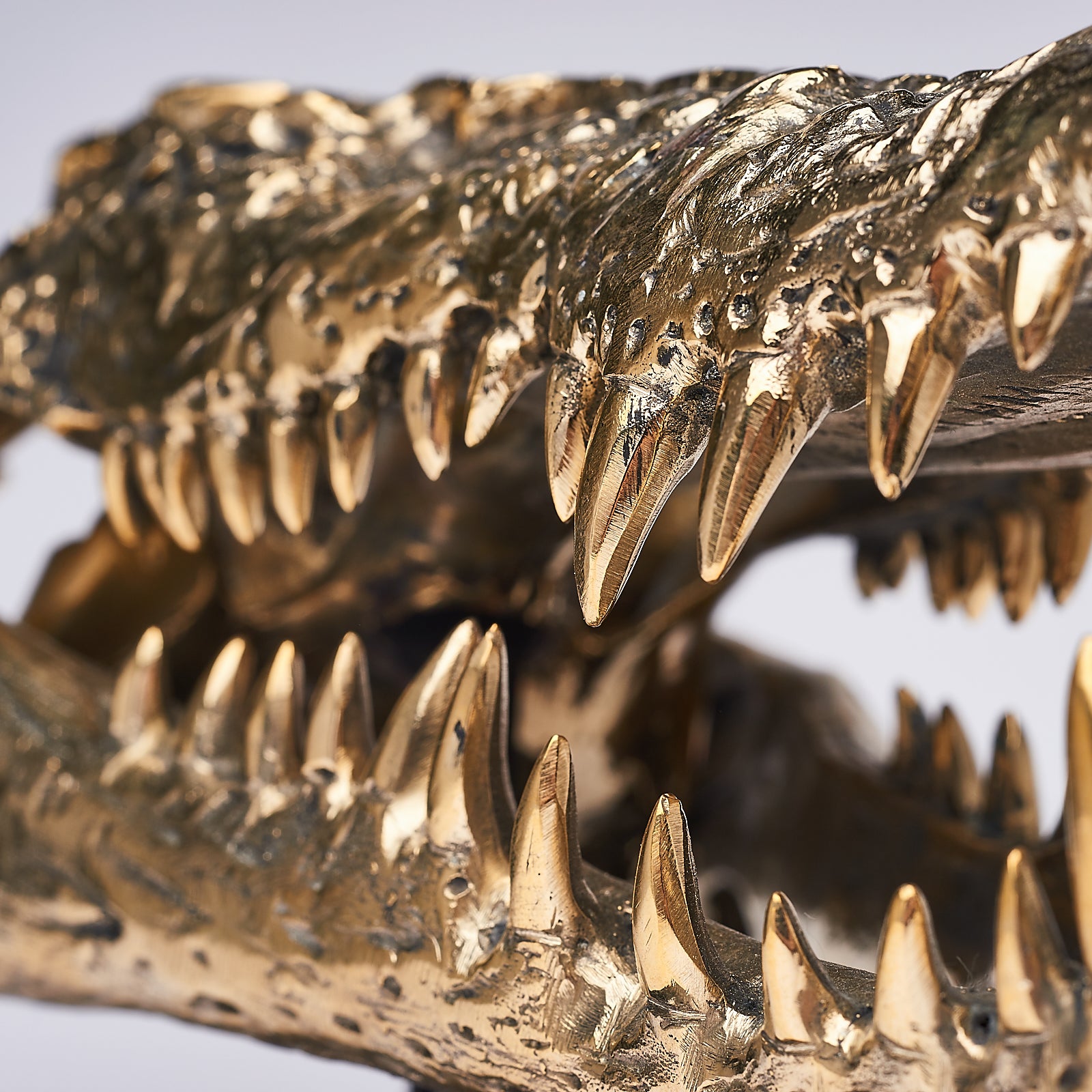 Medium Saltwater Crocodile Skull in Polished Bronze