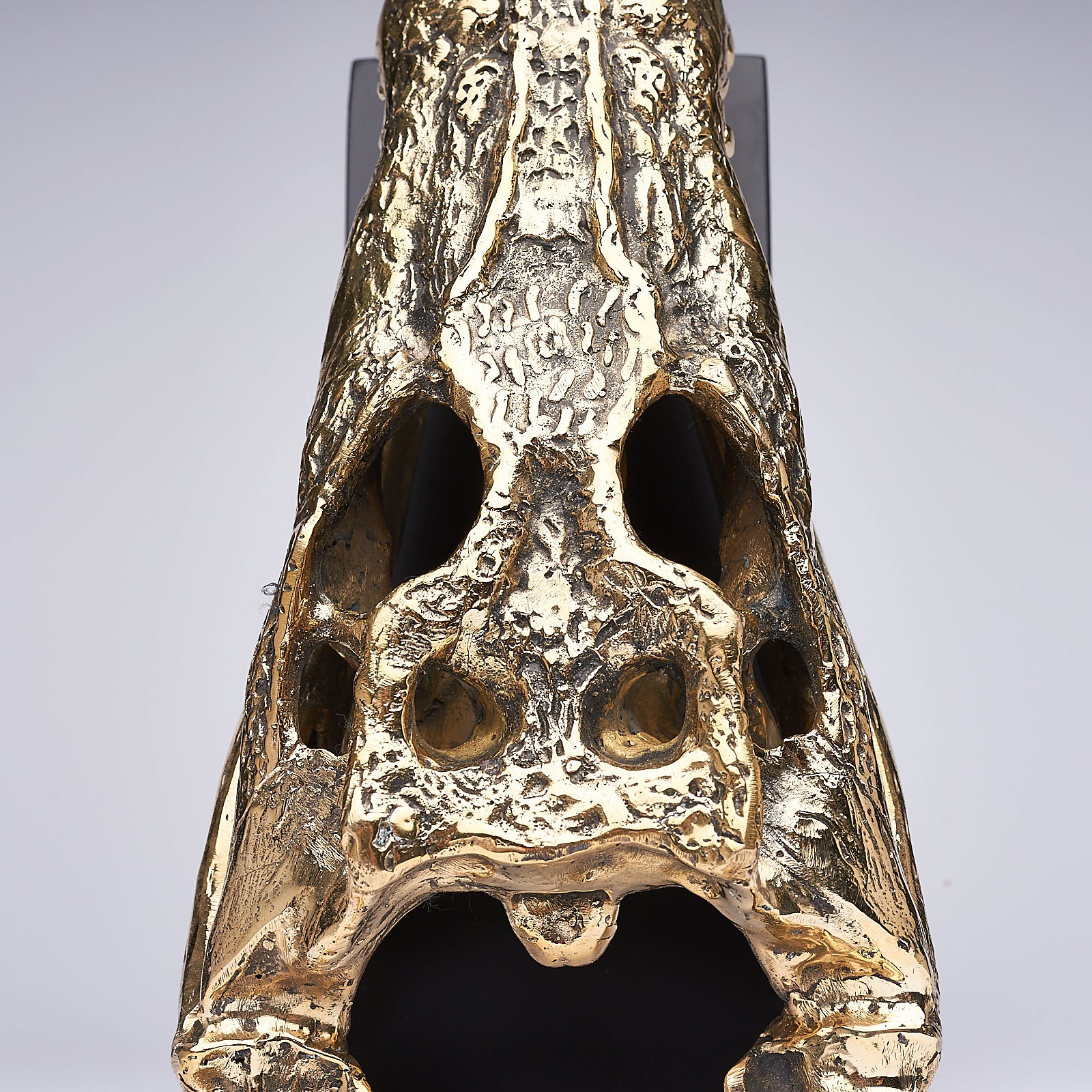 Medium Saltwater Crocodile Skull in Polished Bronze