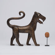 Flamboyant Benin Leopard