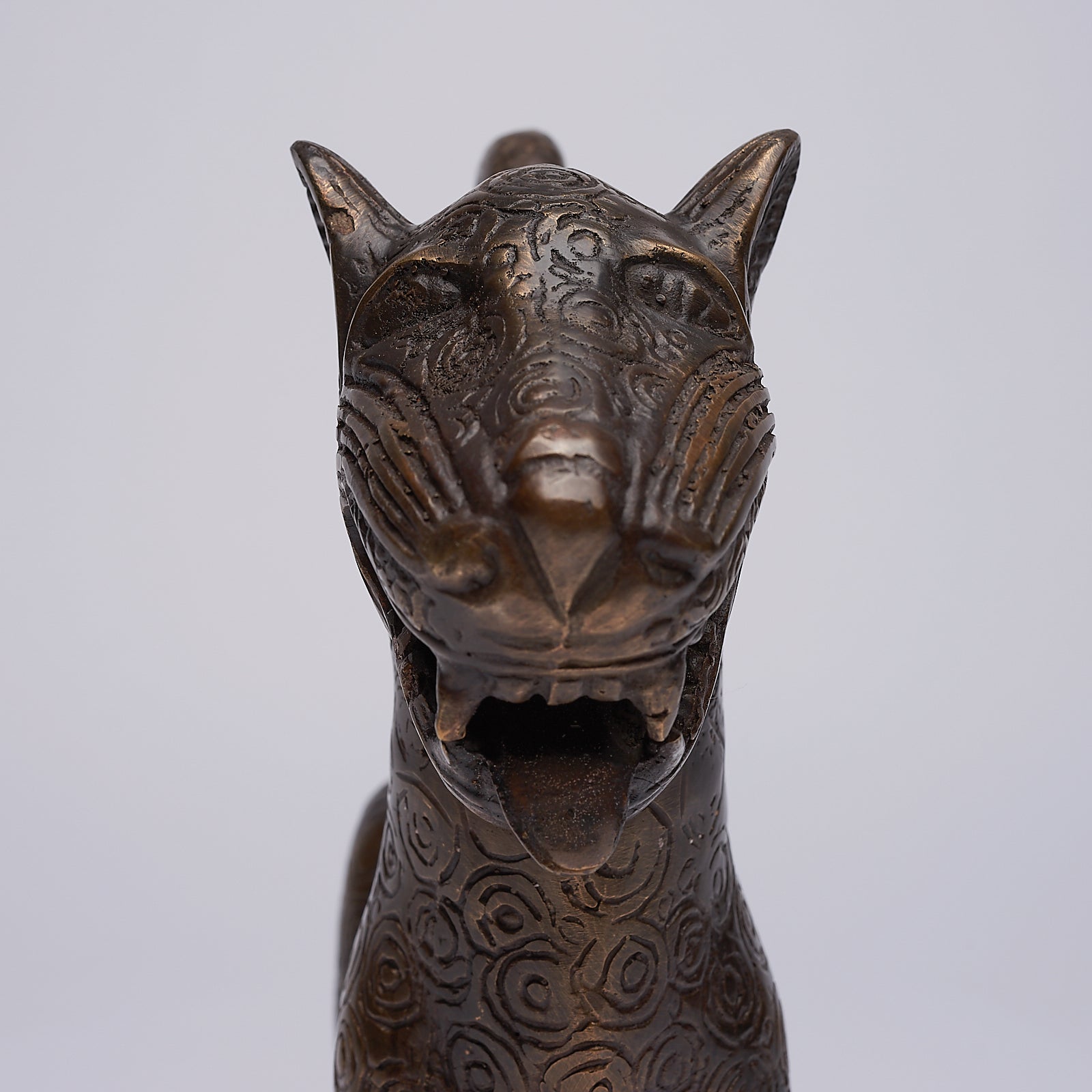 Flamboyant Benin Leopard