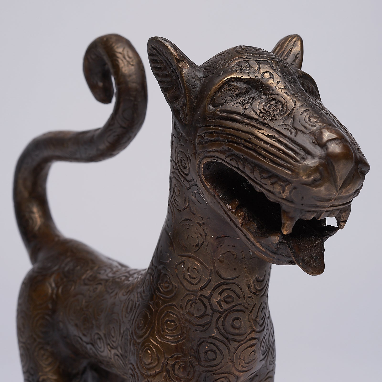 Flamboyant Benin Leopard