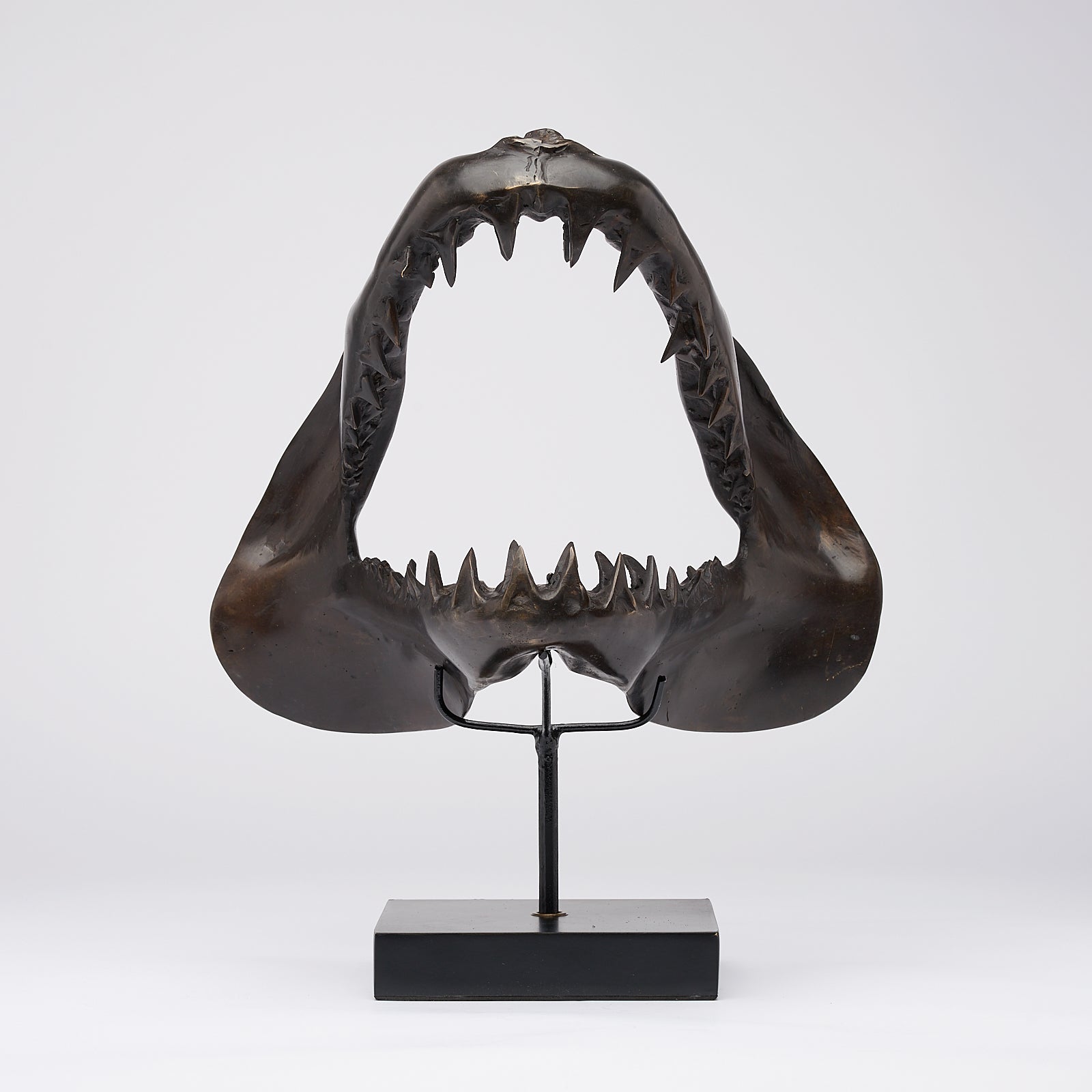 Large Bronze Mako Shark Jaw